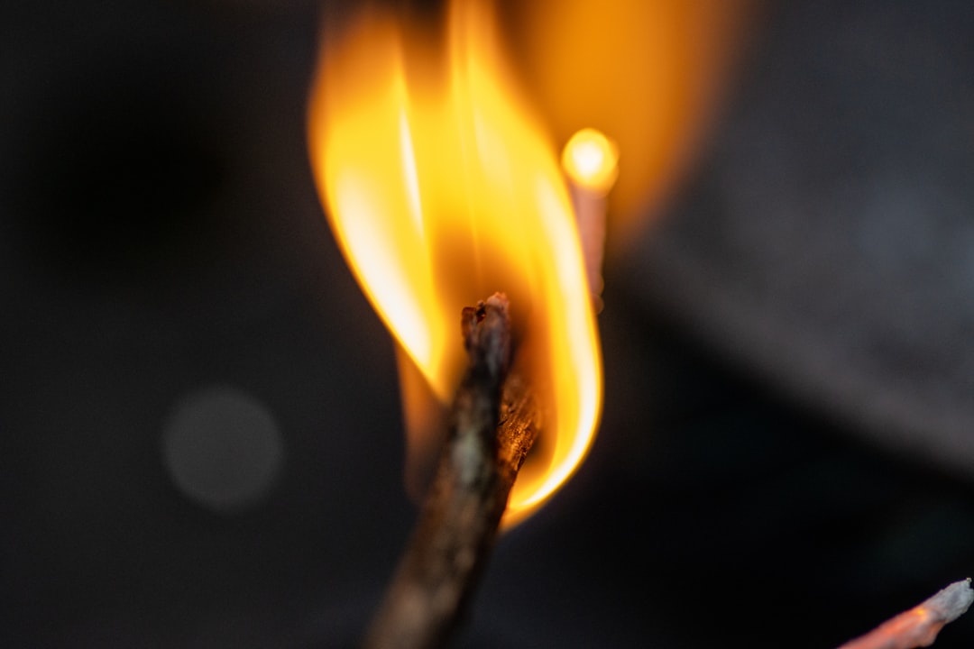 Illuminate Your World: Brighten Every Adventure with Our Premium Torches!